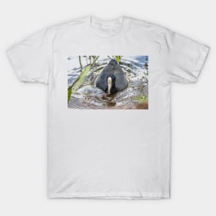 Hawaiian coot in Honolulu 2 T-Shirt